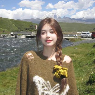 捕风追影 海报